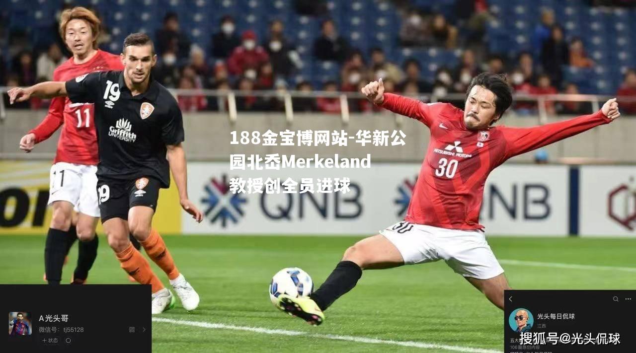 华新公园北岙Merkeland教授创全员进球
